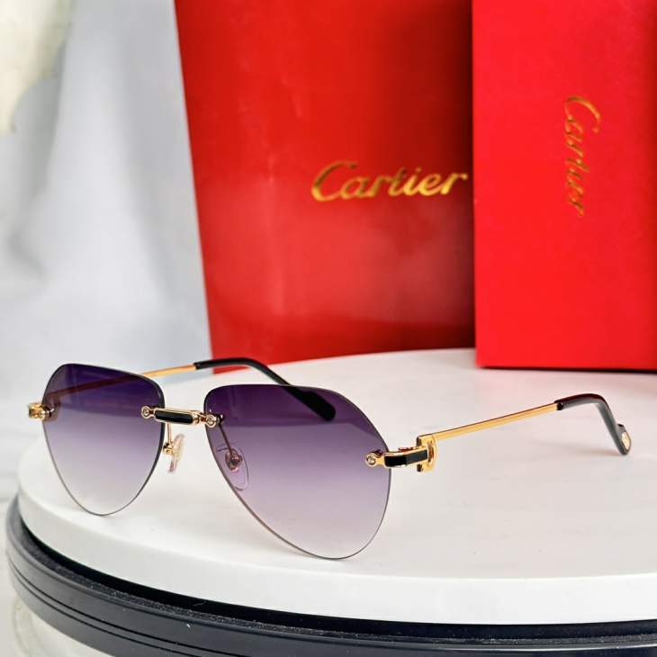 Picture of Cartier Sunglasses _SKUfw77817879fw